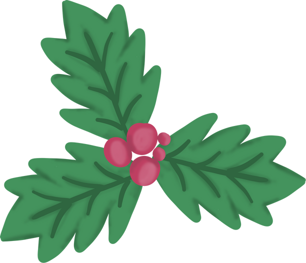 Holly Berries Illustration